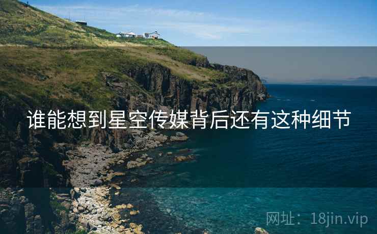 谁能想到星空传媒背后还有这种细节 谁能想到星空传媒背后还有这种细节