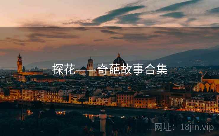 探花——奇葩故事合集 探花——奇葩故事合集