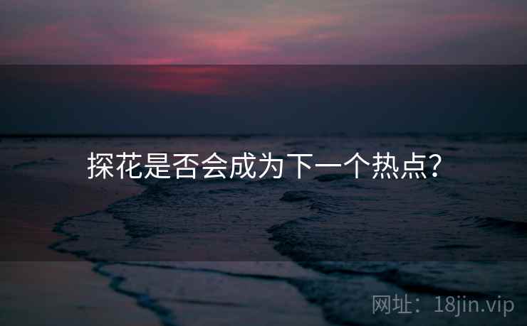 探花是否会成为下一个热点？