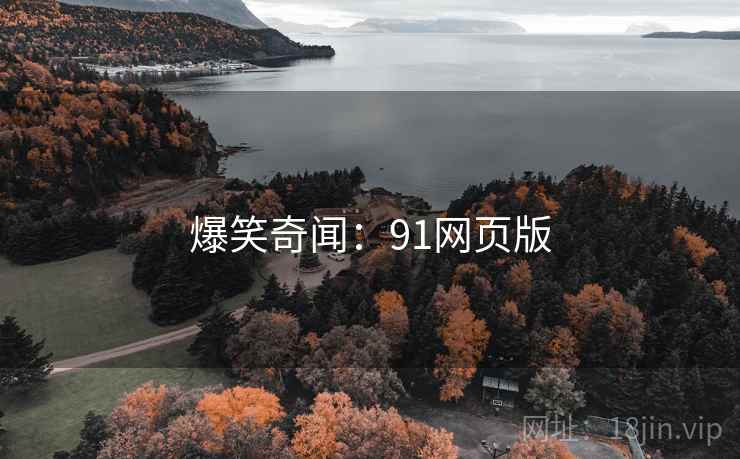 爆笑奇闻:91网页版