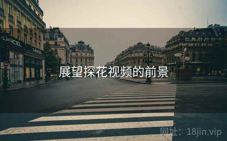 展望探花视频的前景 展望探花视频的前景